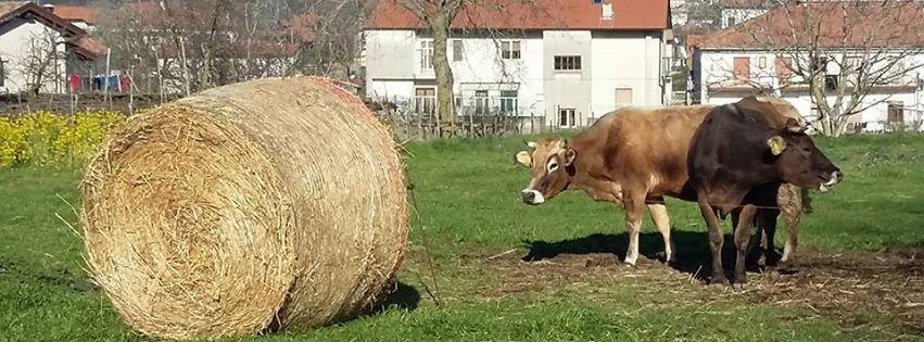 Гостевой дом Agriturismo Sentiero Dei Sapori Аджерола Экстерьер фото